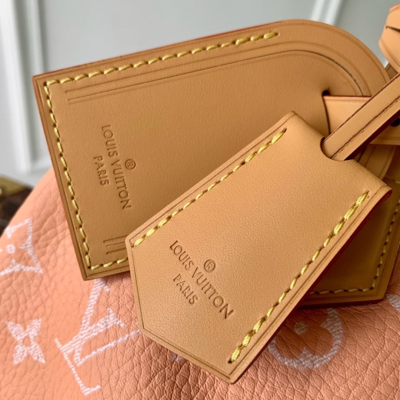 LV Travel Bags